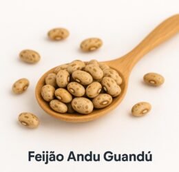 Feijão Andu Guandú
