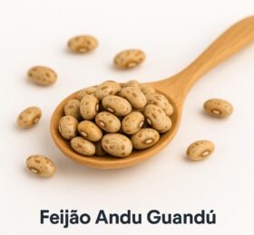 Feijão Andu Guandú