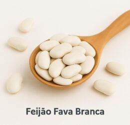 Feijão Fava Branca