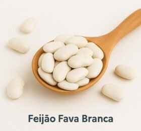 Feijão Fava Branca