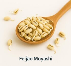 Feijão Moyashi
