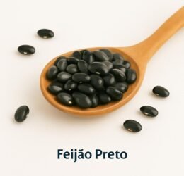 Feijão Preto