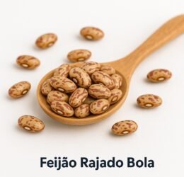 Feijão Rajado Bola