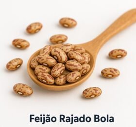 Feijão Rajado Bola