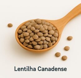 Lentilha Canadense