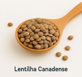Lentilha Canadense