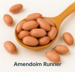Amendoim Runner