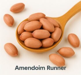 Amendoim Runner