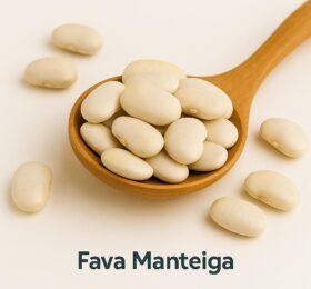 Feihão Fava Manteiga