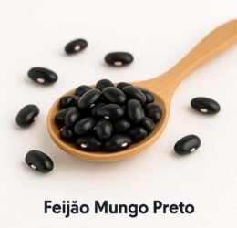 Feijão Mungo Preto