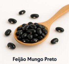 Feijão Mungo Preto