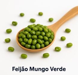 Feijão Mungo Verde